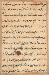 Seite aus Geschichten eines Papageis (Tuti-nama): Textseite von Unknown artist