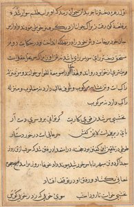 Seite aus Geschichten eines Papageis (Tuti-nama): Textseite von Unknown artist