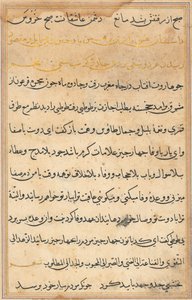 Seite aus Geschichten eines Papageis (Tuti-nama): Textseite von Unknown artist