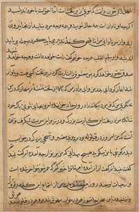 Seite aus Geschichten eines Papageis (Tuti-nama): Textseite von Unknown artist