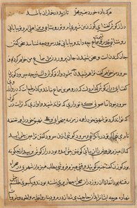 Seite aus Geschichten eines Papageis (Tuti-nama): Textseite