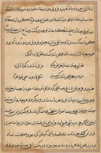 Seite aus Geschichten eines Papageis (Tuti-nama): Textseite von Unknown artist