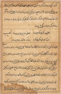 Seite aus Geschichten eines Papageis (Tuti-nama): Textseite von Unknown artist