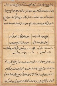 Seite aus Geschichten eines Papageis (Tuti-nama): Textseite von Unknown artist
