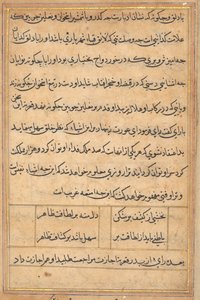Seite aus Geschichten eines Papageis (Tuti-nama): Textseite von Unknown artist
