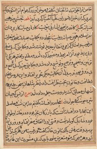 Seite aus Geschichten eines Papageis (Tuti-nama): Textseite von Unknown artist