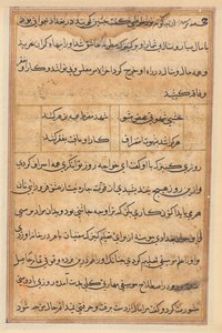 Seite aus Geschichten des Papageis (Tuti-nama): Textseite von Unknown artist