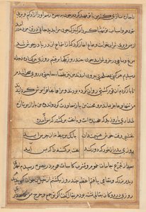 Seite aus Geschichten des Papageis (Tuti-nama): Textseite von Unknown artist