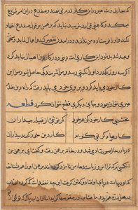 Seite aus Geschichten eines Papageis (Tuti-nama): Textseite von Unknown artist