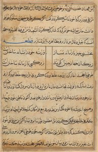 Seite aus Geschichten eines Papageis (Tuti-nama): Textseite
