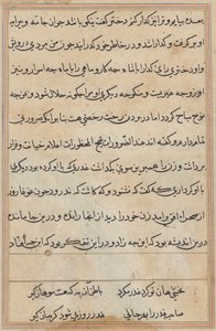 Seite aus Geschichten eines Papageis (Tuti-nama): Textseite von Unknown artist