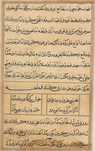 Seite aus Geschichten eines Papageis (Tuti-nama): Textseite von Unknown artist