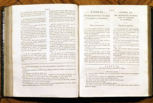 Seiten des Zivilgesetzbuches von Napoleon. auf Französisch und Italienisch von Unknown artist