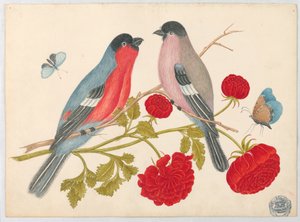Paar Vögel auf Ast mit Rosen und Schmetterlingen