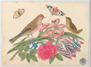Paar braune Vögel auf einem Strauß mit Tulpe, Rose und Löwenmäulchen, mit Schmetterlingen von Unknown artist