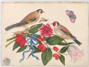 Paar braune Vögel mit Blüten, Beeren und einem Schmetterling