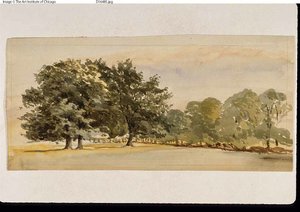 Panorama eines bewaldeten Hains (recto); Landschaft mit Wald rechts (verso) von Unknown artist