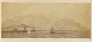[Panorama des Hafens, Funchal, Madeira] von Unknown artist