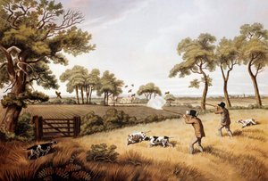 Rebhuhnjagd-Szene von Unknown artist