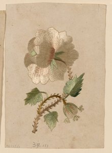 Muster von Unknown artist