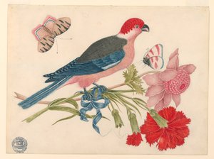 Rosa, roter, blauer und schwarzer Vogel auf Zweig mit Blüten und Schmetterlingen von Unknown artist