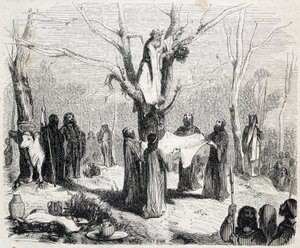 Pitre Chevalier, herausgegeben von W. Coquebert