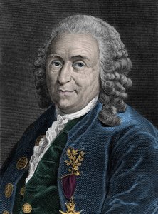 Porträt von Charles Linne (Carl von Linne, Linneus 1707-1778), schwedischer Naturforscher. Gravur des 19. Jahrhunderts