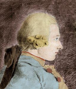 Porträt von Donatien Alphonse François de Sade (1740-1814) (Marquis de Sade) - nach Van Loo
