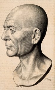 Porträt von Publius Cornelius Scipio (Scipio Africanus), römischer Staatsmann (235-183 v. Chr.)