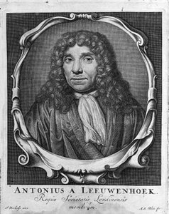 Porträt des niederländischen Händlers und Gelehrten Antoine van Leeuwenhoek (oder Leeuvenhoek Leeuwenhoeck) (oder Antoni oder Anthonie) (1632-1723). Gravur aus „Investigatio Arcanorum“ 1722