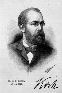 Porträt des deutschen Arztes Robert Koch (1843-1910) von Unknown artist
