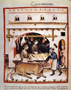Produktion und Verkauf (Metzger) von Rindfleisch: Ein Rind wird betäubt. Beleuchtung aus der Melkung der Medizin und Diätetik „Tacuinum sanitatis“