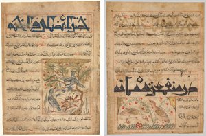 Eigenschaften der Ringeltauben (recto); Über die Vorteile der Wachteln (verso), aus einem persischen Manafi