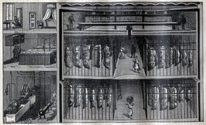 Kühlräume für Fleisch - Gravur aus „La Science française“