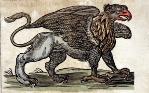 Darstellung eines Greifen, einer fantastischen Kreatur halb Adler, halb Löwe. Gravur aus einem Werk von Athanasius Kircher (1601 - 1680), Jesuit, Orientalist und Gelehrter