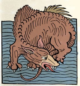 Darstellung eines Meeresmonsters. Gravur aus „Hortus Sanitatis“ von Unknown artist