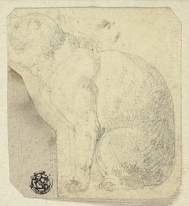 Sitzende Katze im Profil