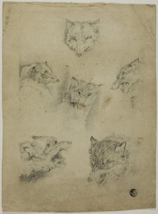 Sechs Skizzen von Wolfsköpfen