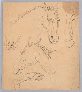 Skizzen von Pferdeköpfen und Hufen von Unknown artist
