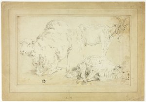 Skizzen von Schafen und Ziegen von Unknown artist