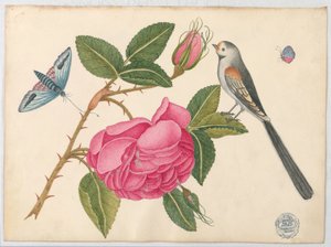 Kleiner Schwarz-Weiß-Vogel auf Rosenblatt mit Blüten und Schmetterlingen
