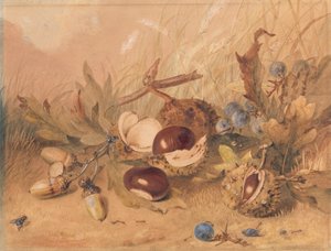 Stillleben mit Eicheln und Rosskastanien von Unknown artist