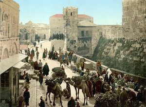 Straße des Davidsturms, der Basar. Jerusalem. Fotochrom zwischen 1890-1900. von Unknown artist