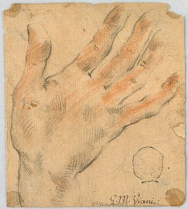Studie: Eine linke Hand