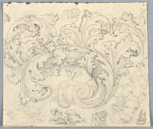 Studie für ein sich windendes Akanthus-Ornament