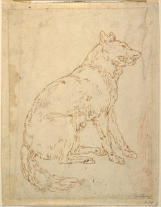 Studie eines Schäferhundes von Unknown artist