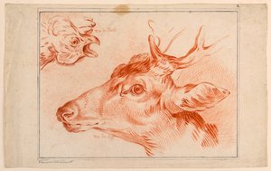 Studie der Köpfe eines Huhns und eines Hirsches von Unknown artist