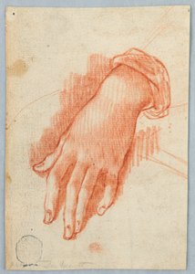 Studie der linken Hand einer Frau von Unknown artist