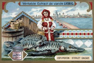 Stör, Sterlet, Kaviar, mit einer jungen Frau, die Eimer hält, vor einer russischen Stadt - Liebig Chromolithographie