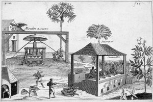 Zuckerherstellung: Zuckerfabrik und Zuckerfabrik - in „General History of Drugs, Simple and Compounded“ von Pomet von Unknown artist
